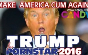 12 Reasons Why Donald Trump Should Be A Pornstar